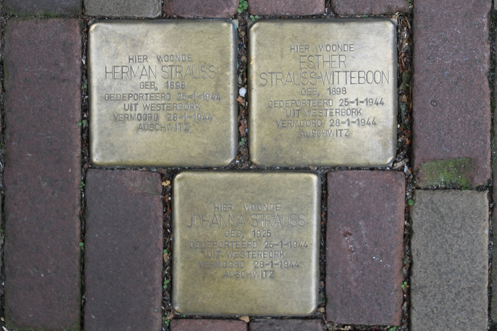 Sstumbling Stone Grote Houtstraat 88