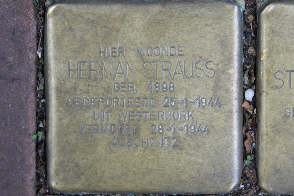 Stolpersteine Grote Houtstraat 88 #2