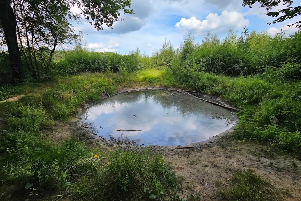 Bomb Crater Havelterberg #1