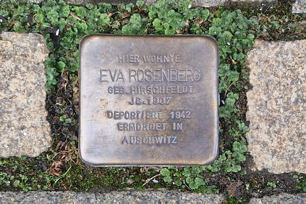Stumbling Stone Mittelstrasse 11