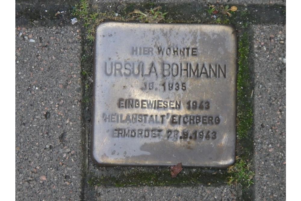 Stumbling Stone Julius-Ludowieg-Straße 31 #1