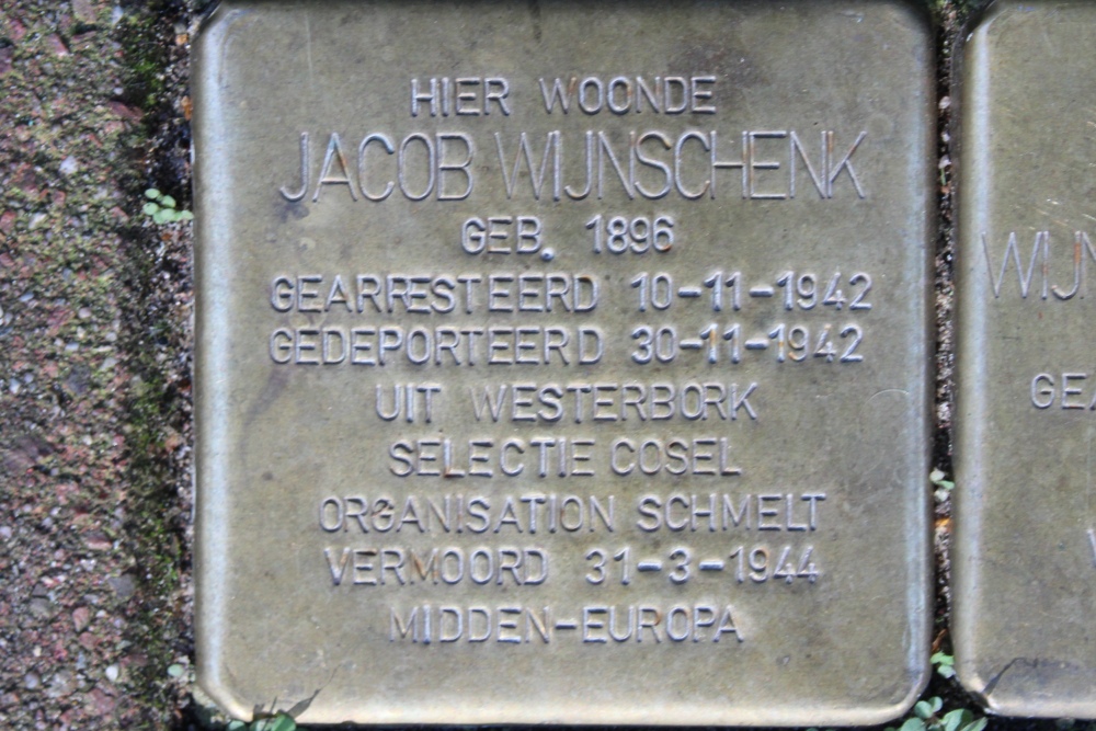 Stolpersteine Vrolikstraat 50 #2