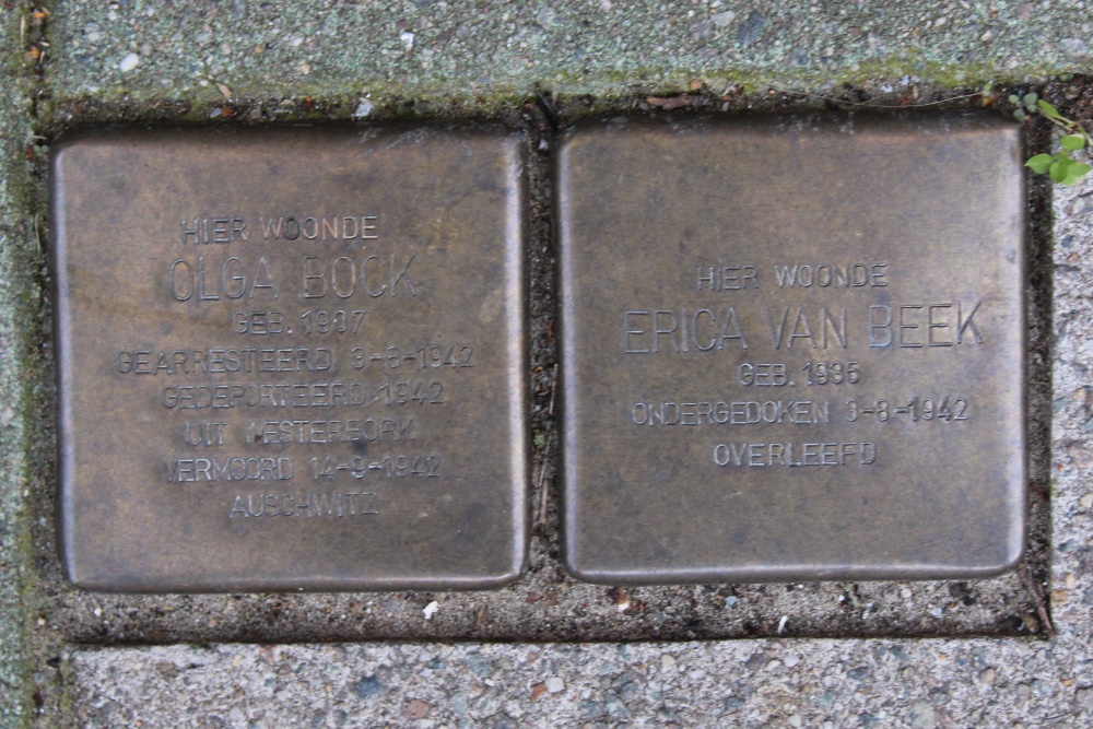 Stolpersteine Vrolikstraat 285 #1