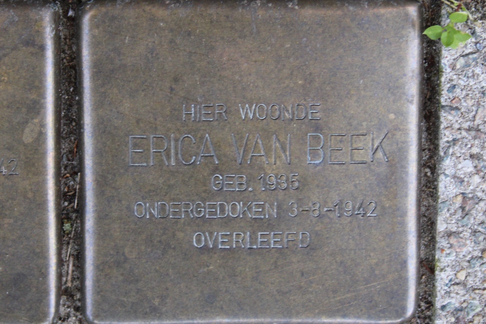 Stolpersteine Vrolikstraat 285 #3