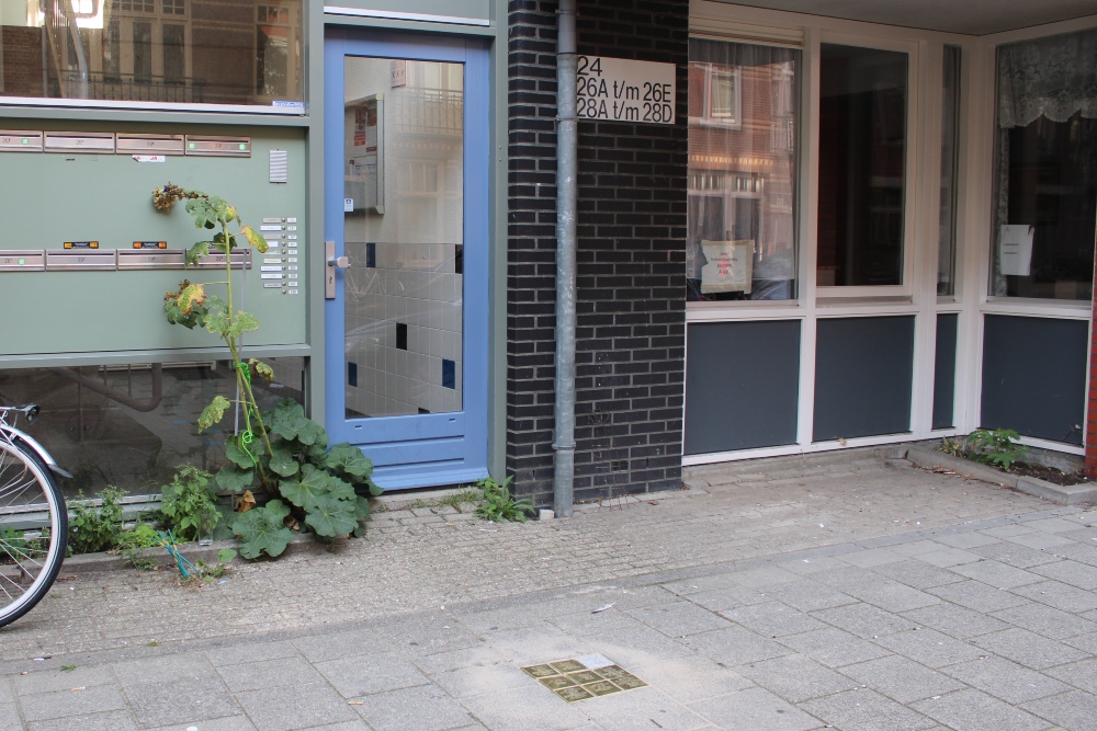 Stolpersteine Transvaalstraat 28 #7