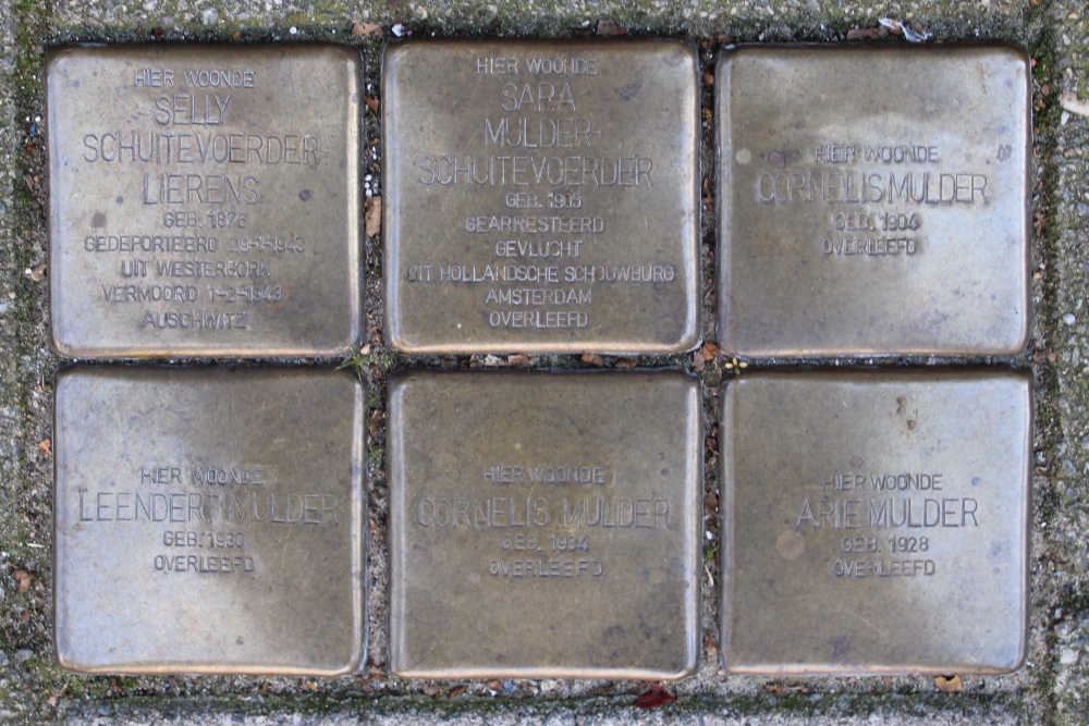 Stumbling Stone Albert Luthulistraat 9 #1