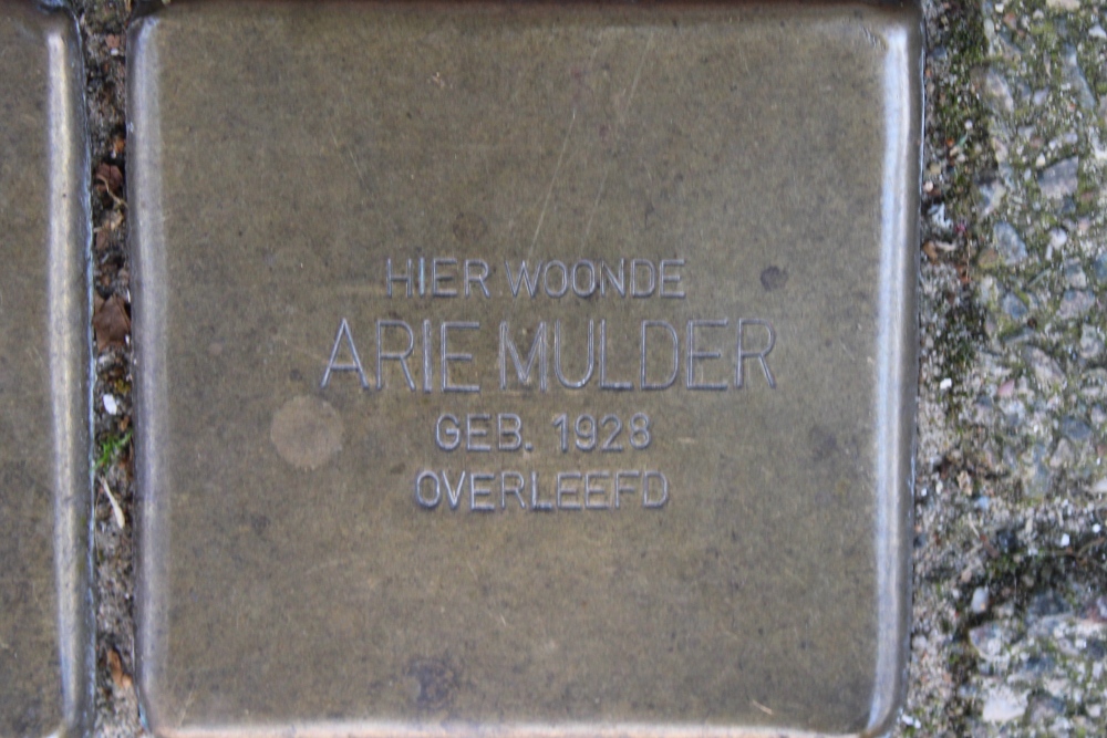 Stumbling Stone Albert Luthulistraat 9 #7