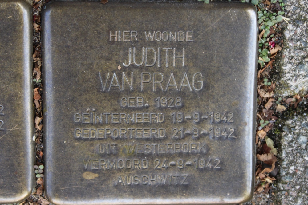 Stolpersteine Krugerstraat 21 #6