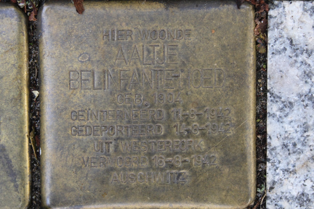 Stolpersteine Daniel Theronstraat 19 #3