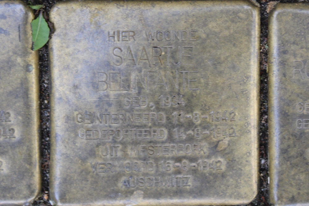 Stolpersteine Daniel Theronstraat 19 #5