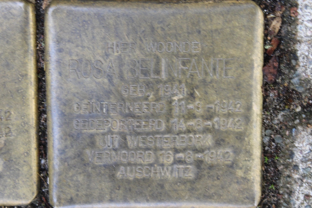 Stolpersteine Daniel Theronstraat 19 #6