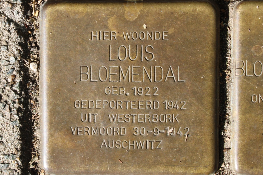 Stolpersteine Daniel Theronstraat 8 #2