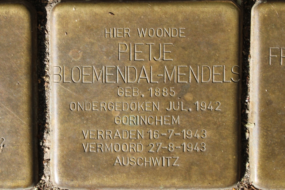 Stolpersteine Daniel Theronstraat 8 #3