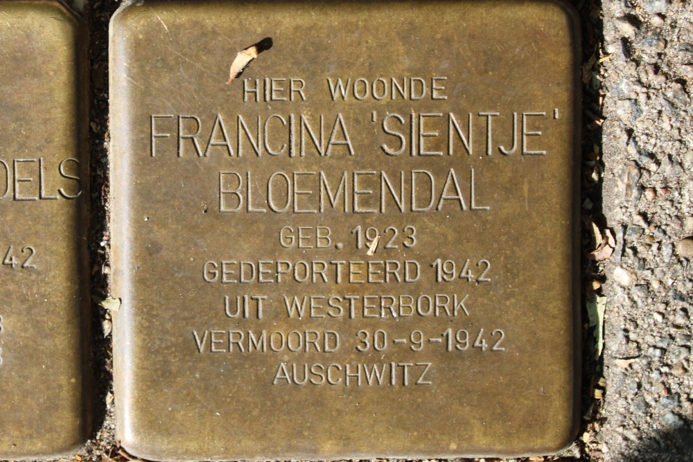Stolpersteine Daniel Theronstraat 8 #4