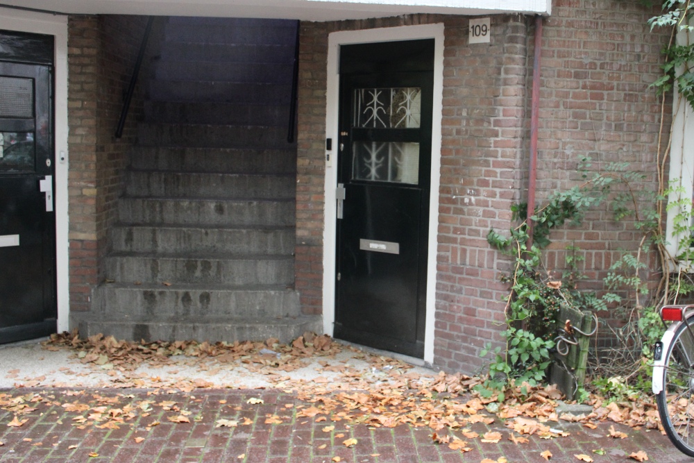 Stumbling Stone Insulindeweg 109 #2