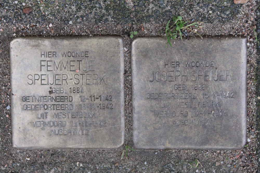 Stumbling Stones Lekstraat 9 #1