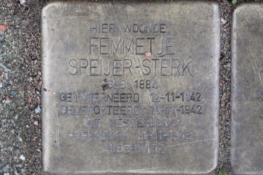 Stumbling Stones Lekstraat 9 #2
