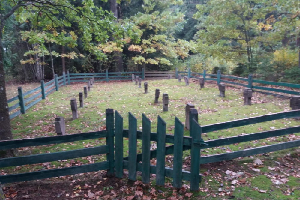 German War Cemetery Gizu Seniunija