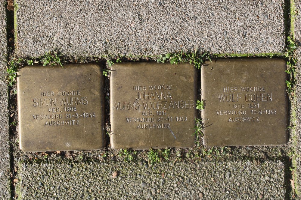 Stumbling Stones Swammerdamstraat 54 #1