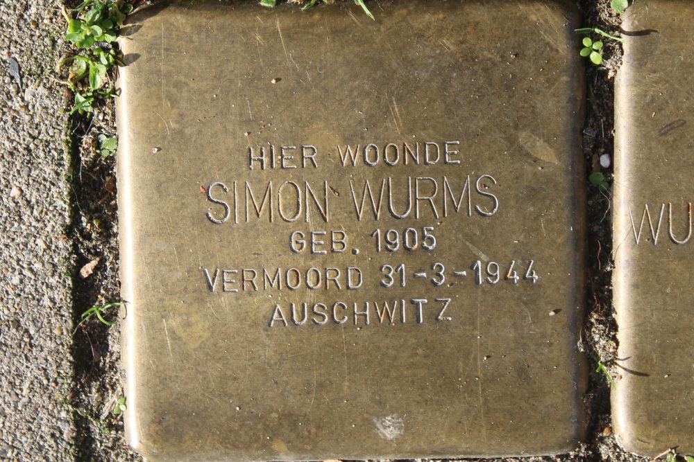 Stumbling Stones Swammerdamstraat 54 #2