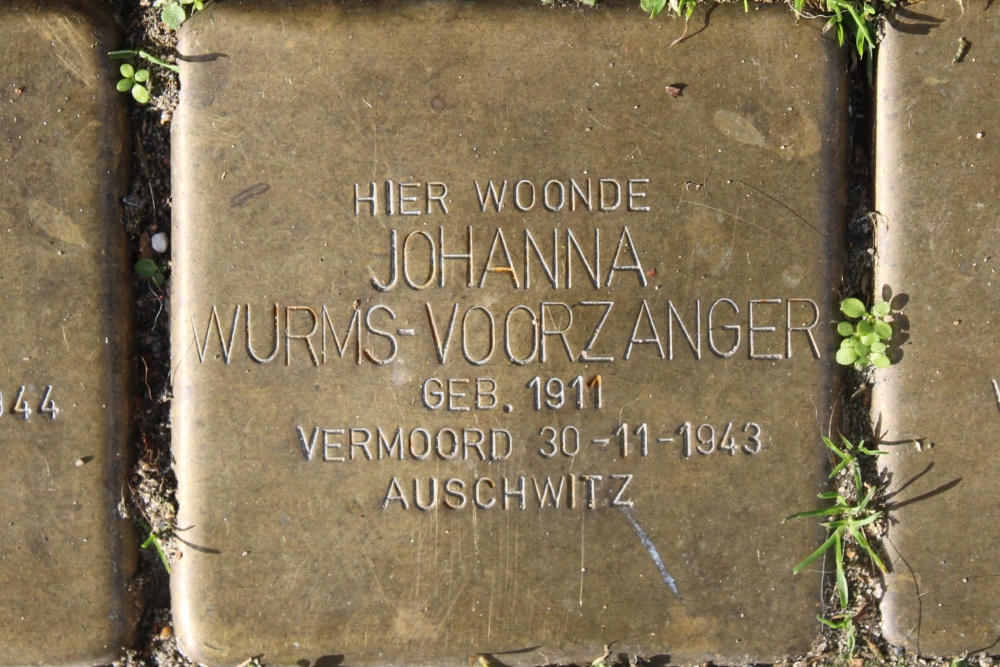 Stumbling Stones Swammerdamstraat 54 #3