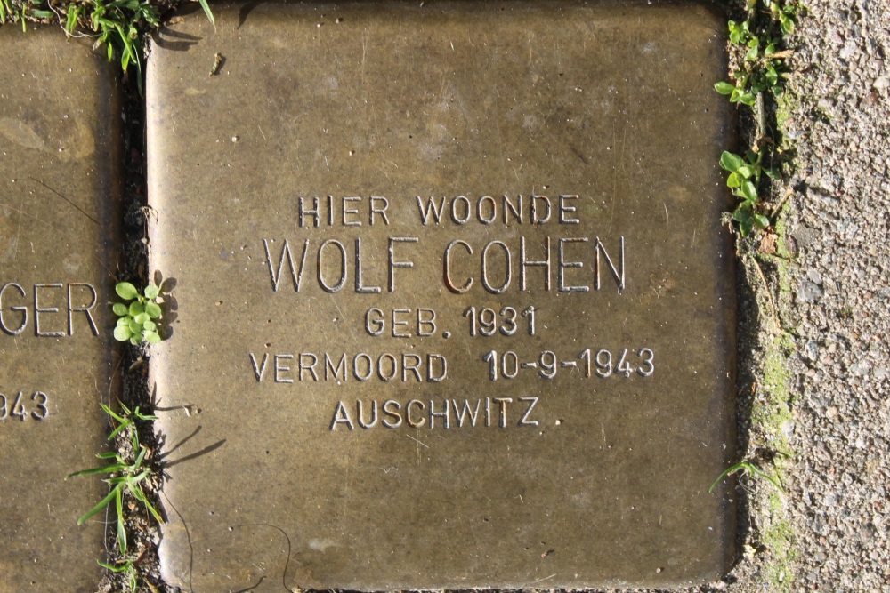 Stumbling Stones Swammerdamstraat 54 #4