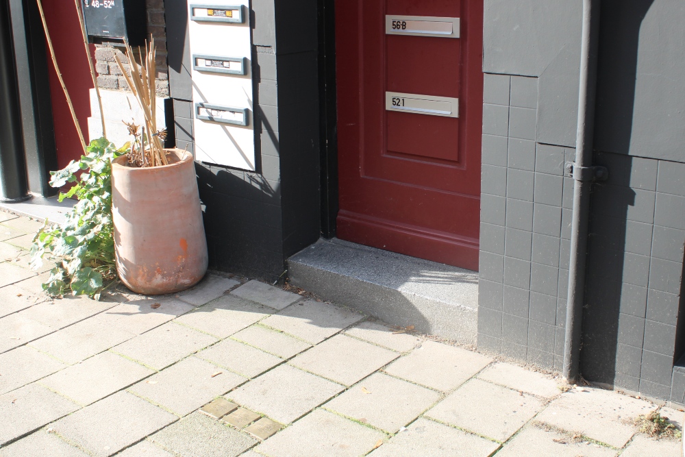 Stumbling Stones Swammerdamstraat 54 #5