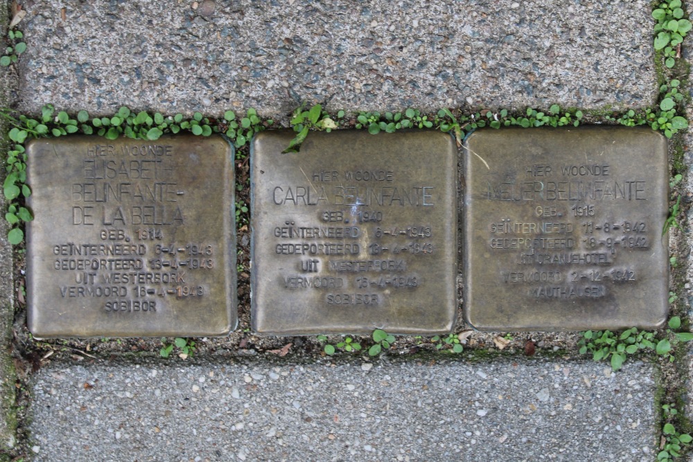 Stolpersteine Ruyschstraat 9 #1