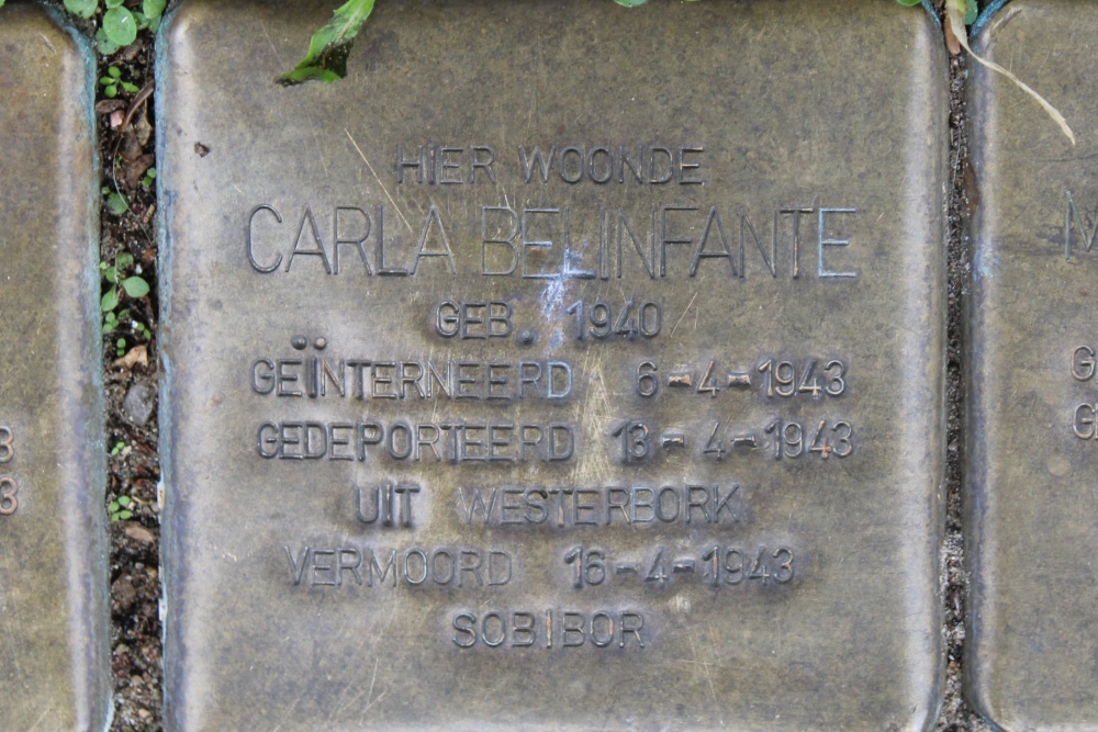 Stolpersteine Ruyschstraat 9 #3