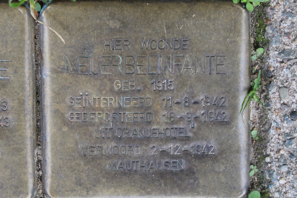 Stolpersteine Ruyschstraat 9 #4