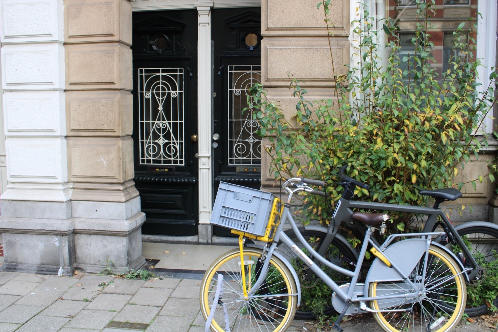 Stolpersteine Ruyschstraat 9 #5