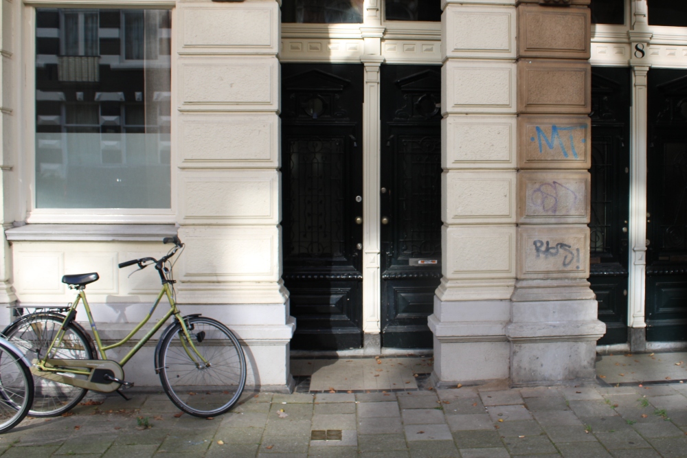 Stolpersteine Ruyschstraat 10 #6