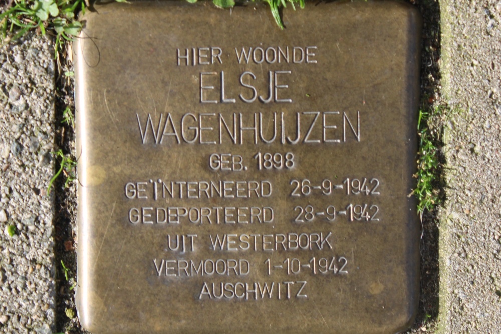 Stumbling Stone Hemonystraat 46