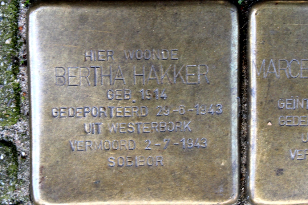Stolpersteine Tweede Jan Steenstraat 108 #4