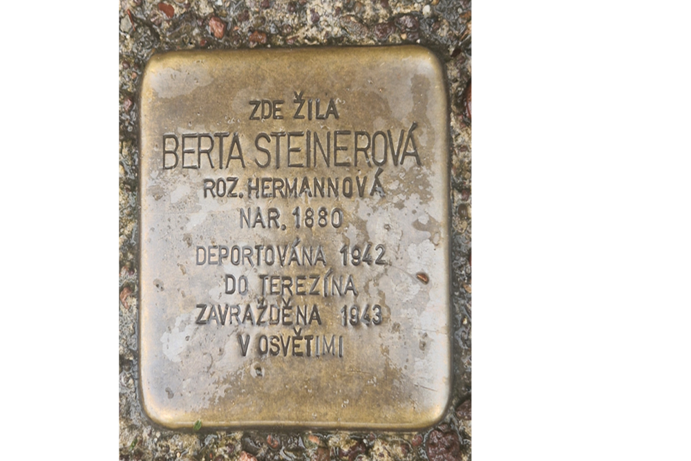 Stumbling Stones Alsove nám. 34 #2