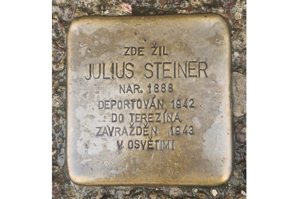 Stumbling Stones Alsove nám. 34 #3