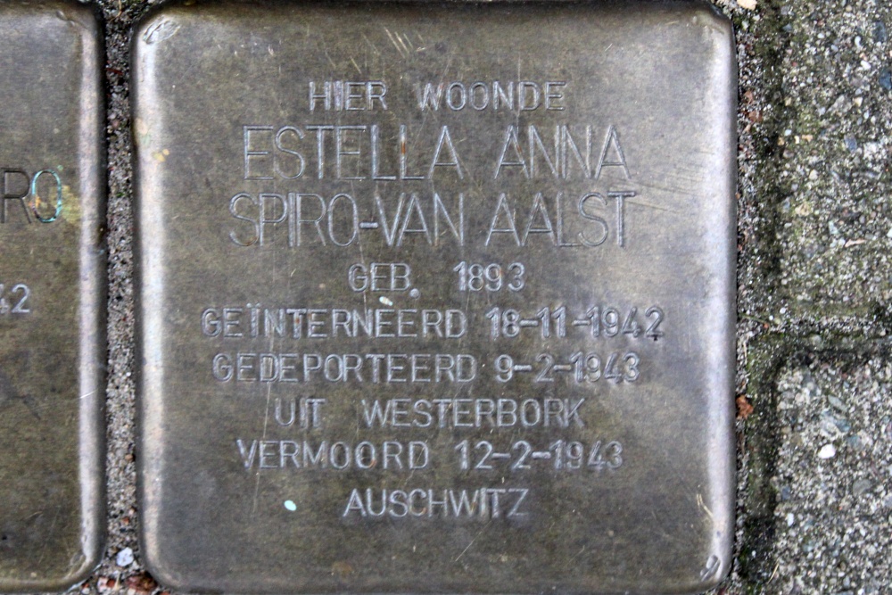 Stolpersteine Cliostraat 13 #5