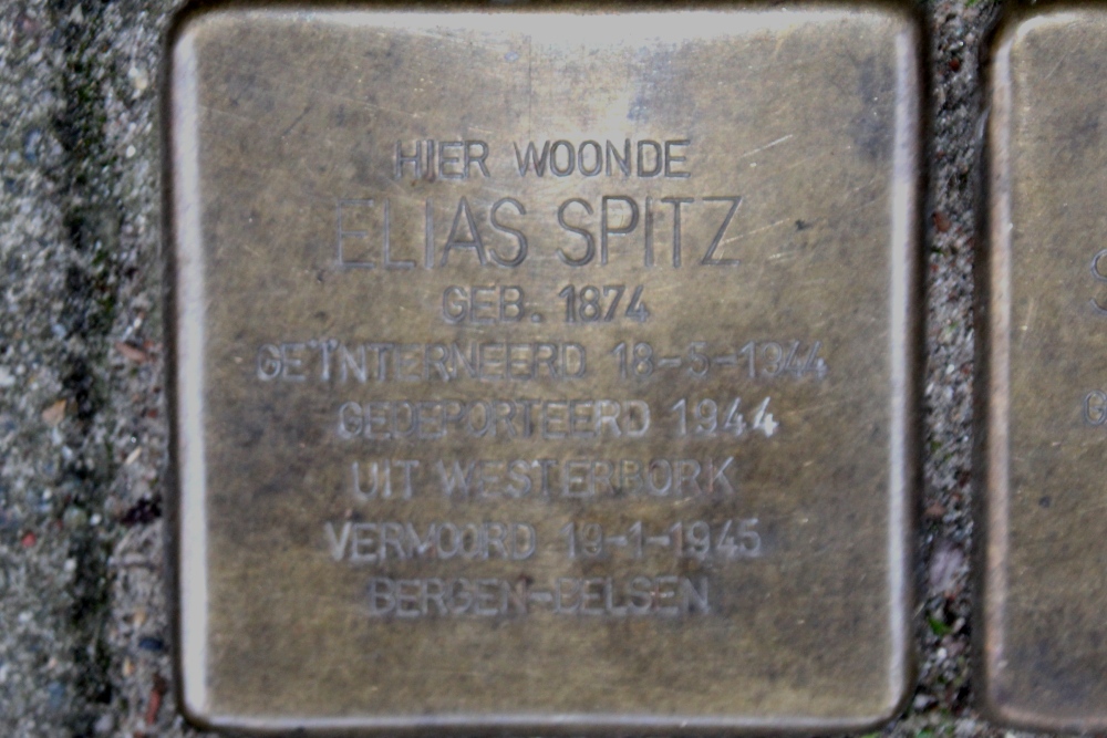 Stumbling Stones Herculesstraat 13 #2