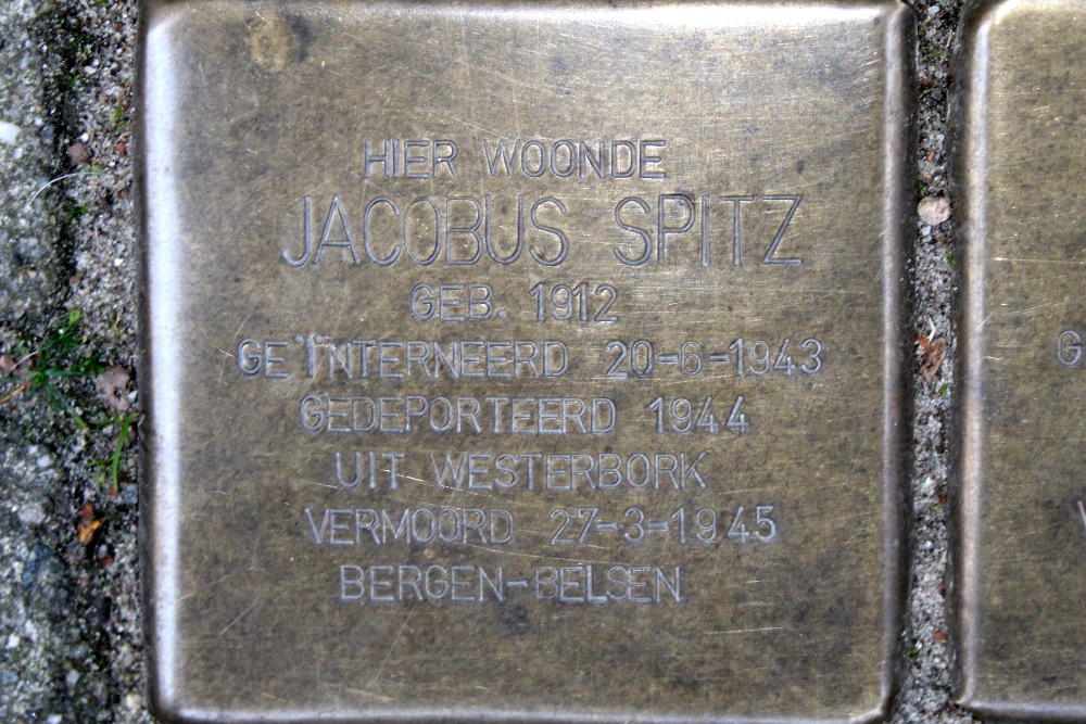 Stumbling Stones Herculesstraat 13 #5