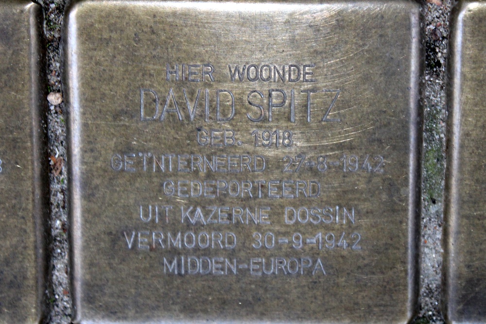 Stumbling Stones Herculesstraat 13 #6