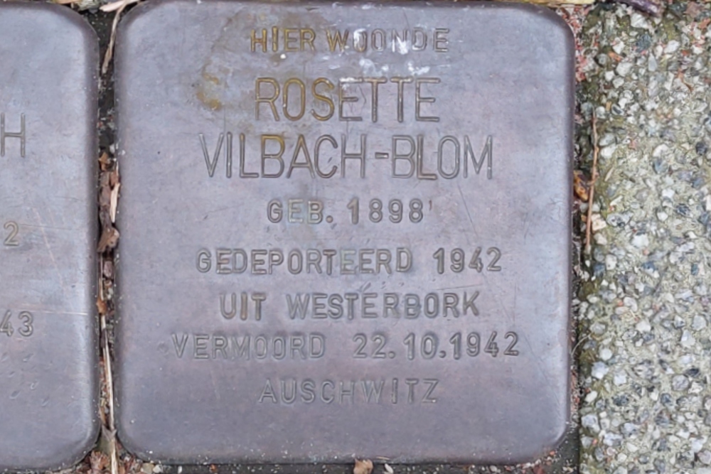 Stolpersteine Jan van Ghestellaan 29 #6