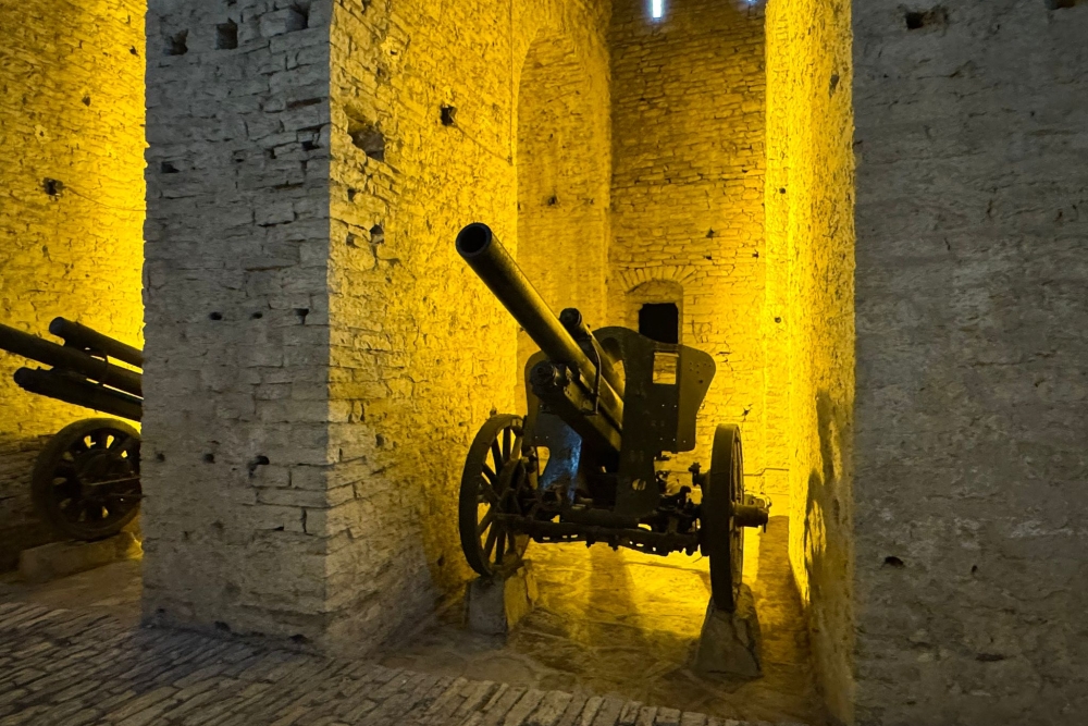 Nationaal Museum van de Wapens Gjirokastra #5