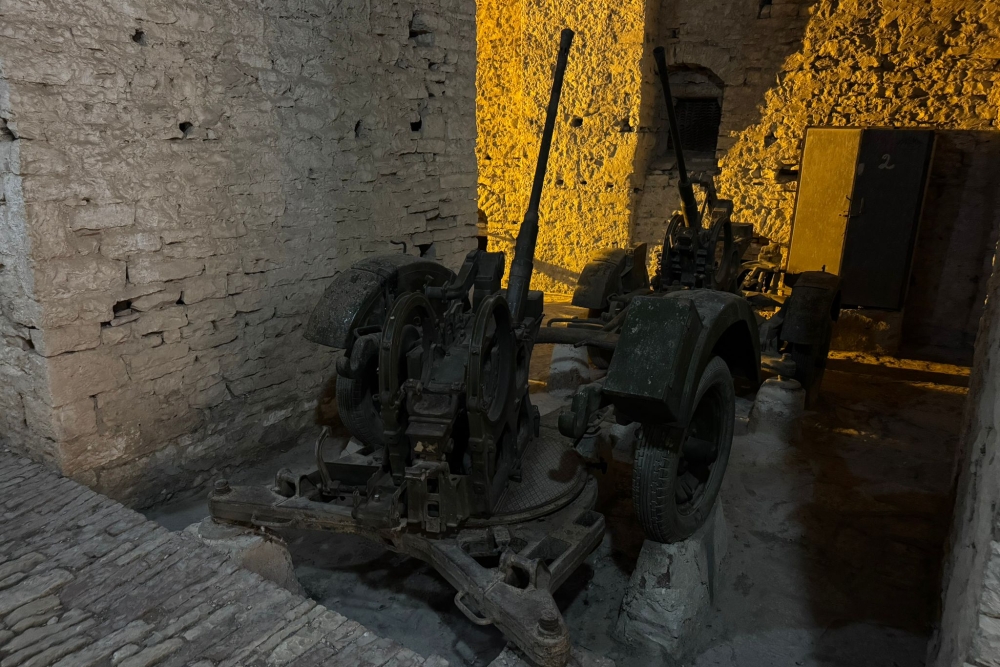 Nationaal Museum van de Wapens Gjirokastra #8