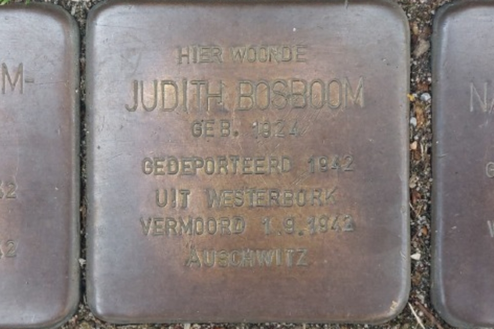 Stumbling Stones Boschje 19a (now Goudse Singel 515-523) #6