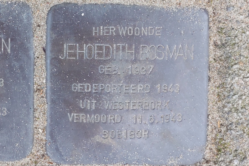Stolpersteine Graaf Florisstraat 100a #6