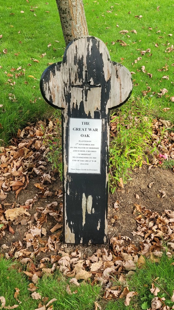 WW1 Memorial Oak Tree Bridport #2