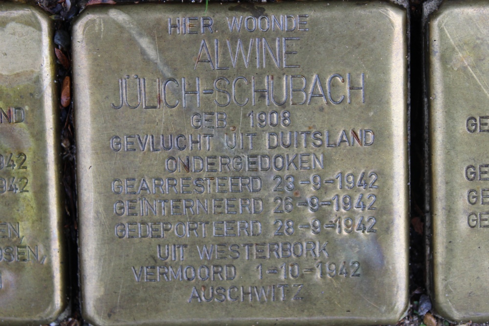 Stolpersteine Meerndijk 74 #3