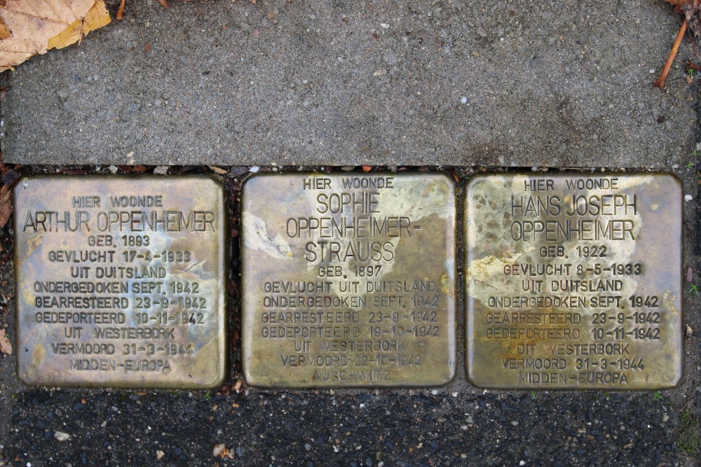 Stolpersteine Meerndijk 110