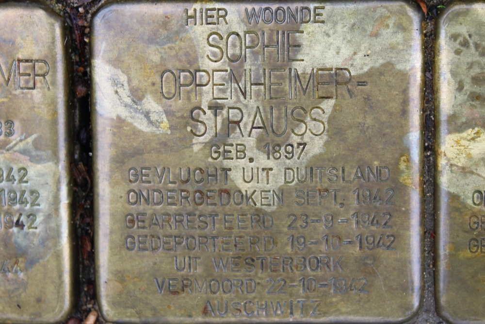 Stolpersteine Meerndijk 110 #3