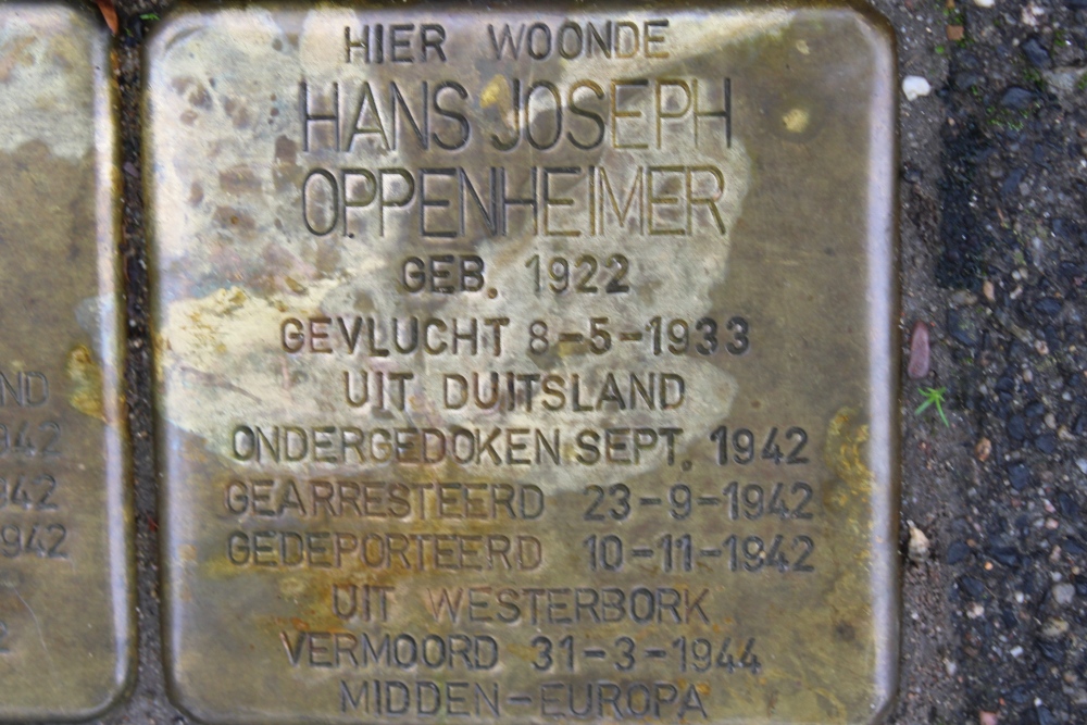 Stolpersteine Meerndijk 110 #4